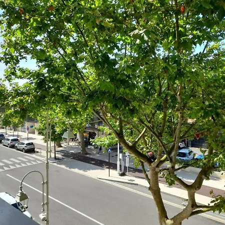 Arcachon, 2 Pieces, 4 Personnes - Fr-1-319-521 Apartment *